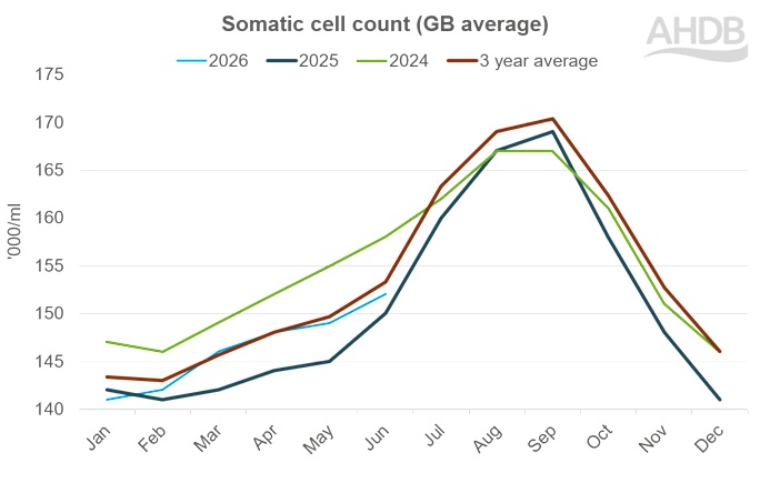 Line graph showing somatic cell count GB average 2024 to 2026.